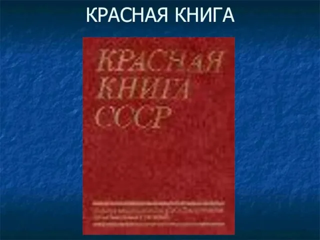 КРАСНАЯ КНИГА