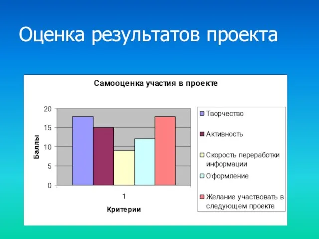 Оценка результатов проекта