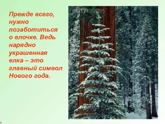 Прежде всего, нужно позаботиться о елочке. Ведь нарядно украшенная елка – это