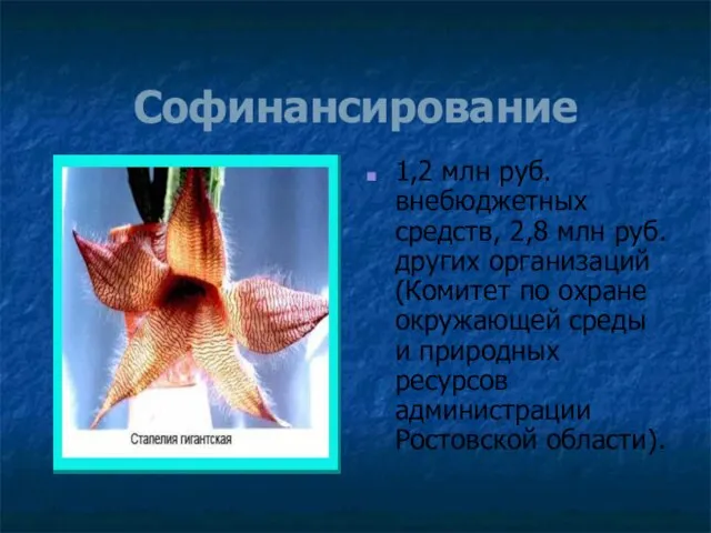 Софинансирование 1,2 млн руб. внебюджетных средств, 2,8 млн руб. других организаций (Комитет