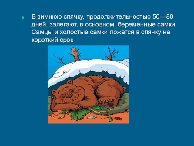 В зимнюю спячку, продолжительностью 50—80 дней, залегают, в основном, беременные самки. Самцы