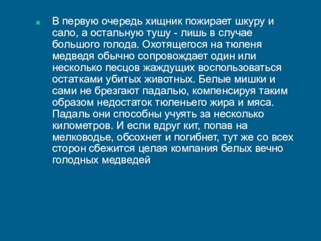 В первую очередь хищник пожирает шкуру и сало, а остальную тушу -