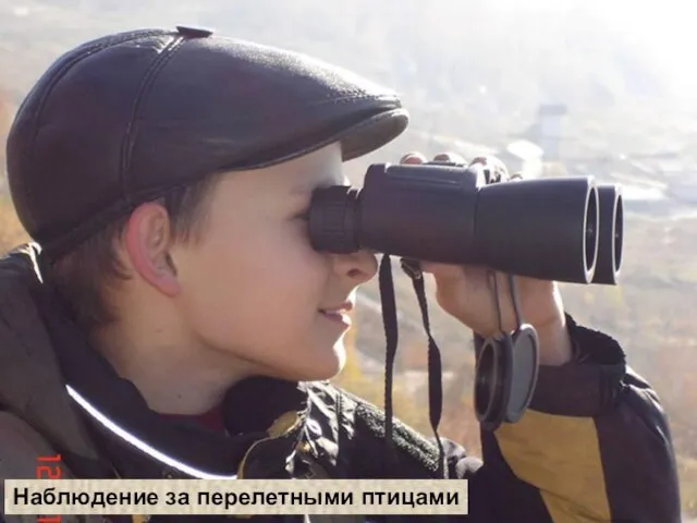 Наблюдение за перелетными птицами