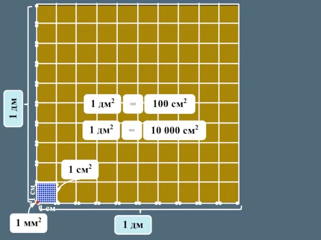 1 см 1 см 1 дм 1 дм 1 см2 1 дм2