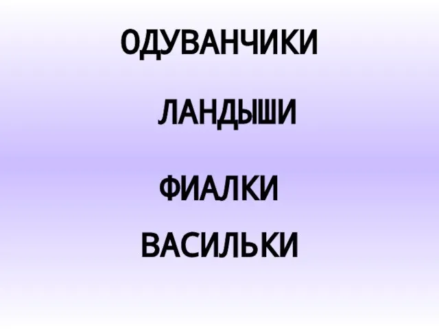 ОДУВАНЧИКИ ЛАНДЫШИ ФИАЛКИ ВАСИЛЬКИ