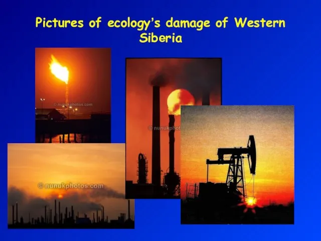 Pictures of ecology’s damage of Western Siberia