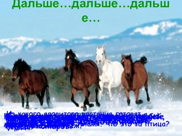 Дальше…дальше…дальше… Какая птица выводит птенцов в любые морозы? Во время полета этих