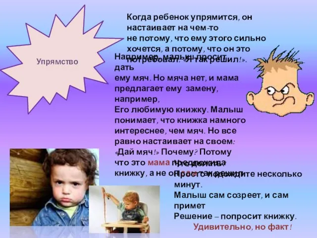 Упрямство Когда ребенок упрямится, он настаивает на чем-то не потому, что ему