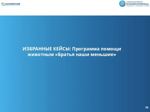 ИЗБРАННЫЕ КЕЙСЫ: Программа помощи животным «Братья наши меньшие» 29