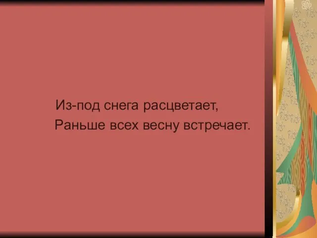 Из-под снега расцветает, Раньше всех весну встречает.