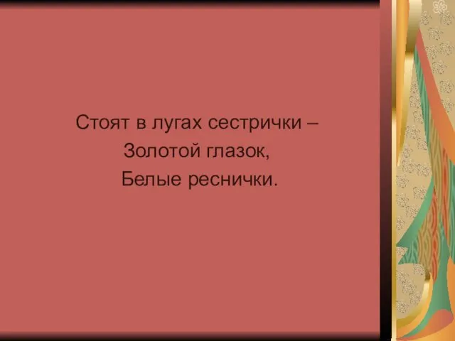 Стоят в лугах сестрички – Золотой глазок, Белые реснички.