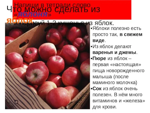 Напиши в тетради слово «яблоня» и нарисуй 1-2 кушанья из яблок. Что