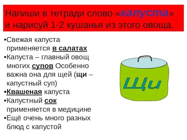 Напиши в тетради слово «капуста» и нарисуй 1-2 кушанья из этого овоща.