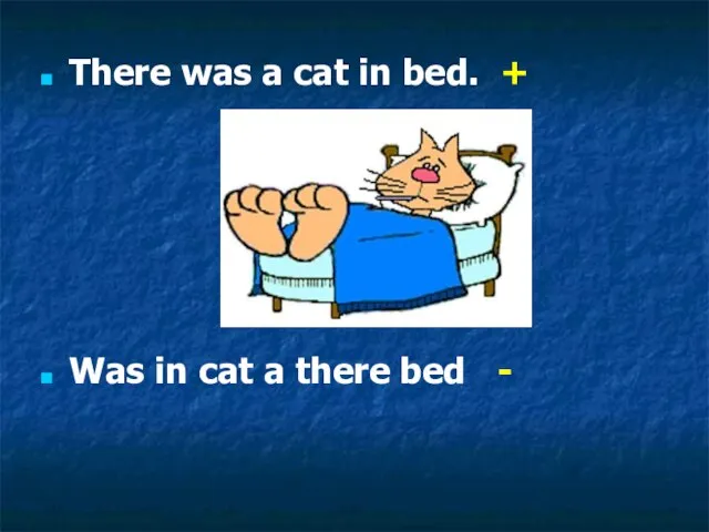 There was a cat in bed. + Was in cat a there bed -