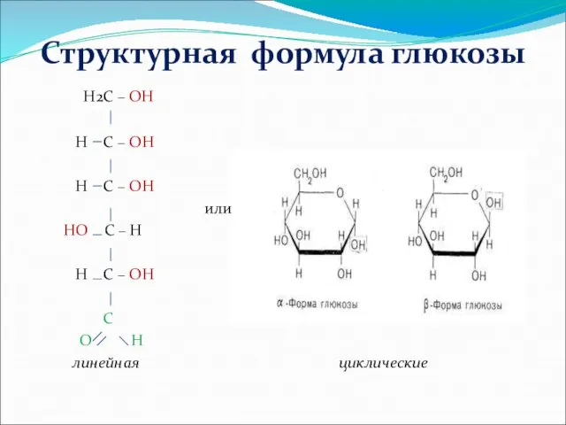 Структурная формула глюкозы H2C – OH H C – OH H C