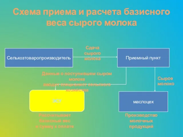 Схема приема и расчета базисного веса сырого молока Сельхозтоваропроизводитель Приемный пункт Сдача