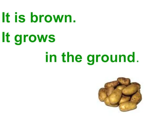 It is brown. It grows in the ground.