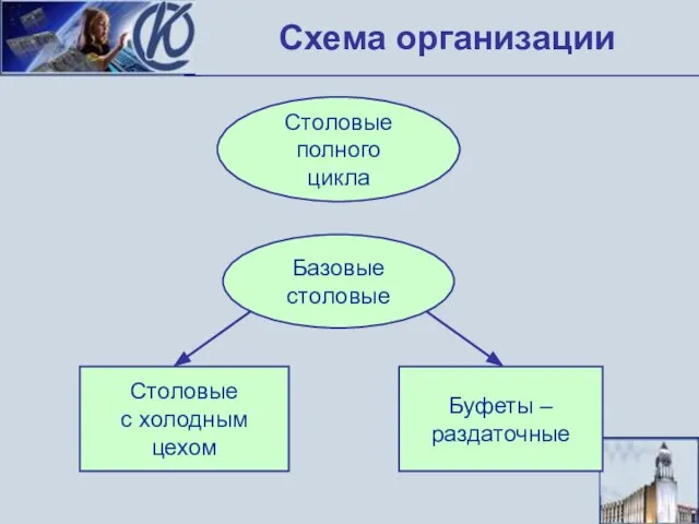 Схема организации Столовые полного цикла Столовые с холодным цехом Буфеты – раздаточные Базовые столовые