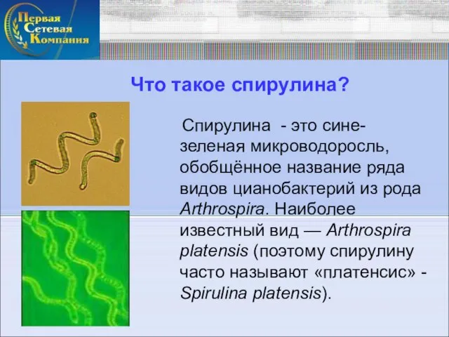 Что такое спирулина? Спирулина - это сине-зеленая микроводоросль, обобщённое название ряда видов