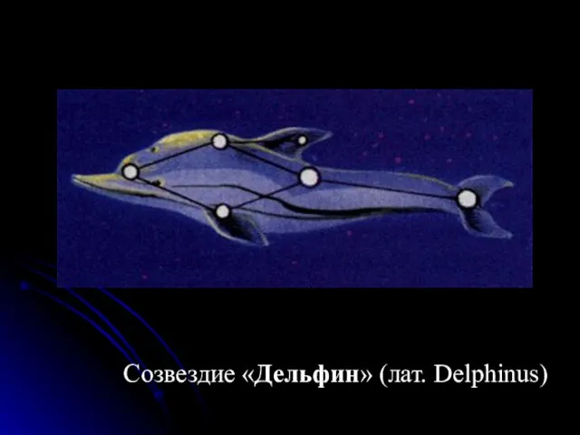 Созвездие «Дельфин» (лат. Delphinus)