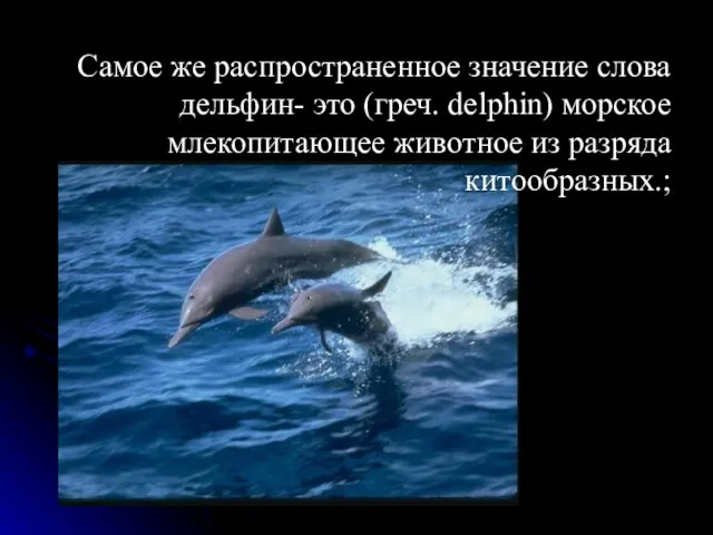 Самое же распространенное значение слова дельфин- это (греч. delphin) морское млекопитающее животное из разряда китообразных.;