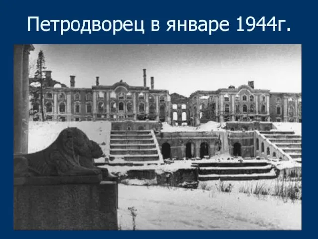 Петродворец в январе 1944г.