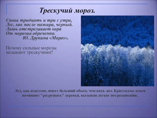 Трескучий мороз. Снова тридцать и три с утра, Лес, как после пожара,