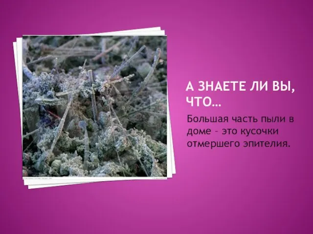 А ЗНАЕТЕ ЛИ ВЫ, ЧТО… Большая часть пыли в доме – это кусочки отмершего эпителия.