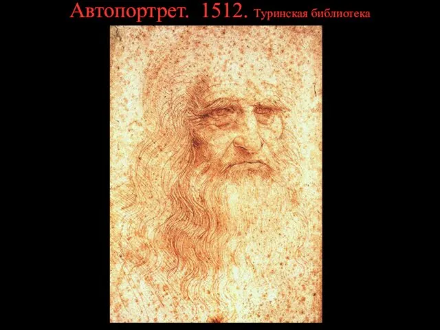 Автопортрет. 1512. Туринская библиотека