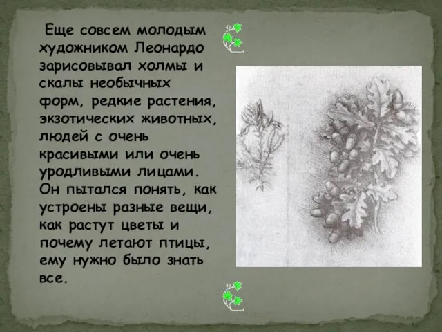 Еще совсем молодым художником Леонардо зарисовывал холмы и скалы необычных форм, редкие