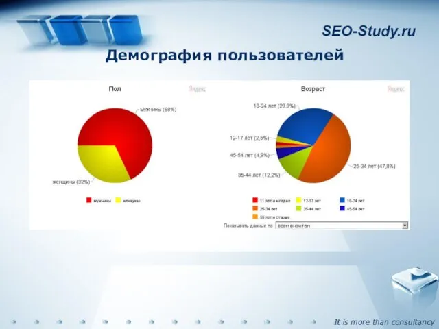 SEO-Study.ru Демография пользователей