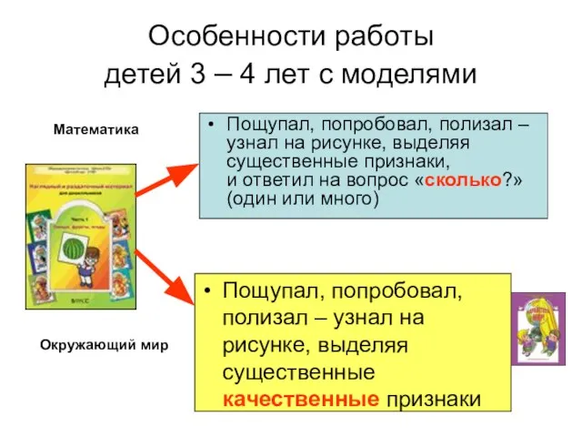 Особенности работы детей 3 – 4 лет с моделями Пощупал, попробовал, полизал