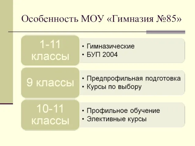 Особенность МОУ «Гимназия №85»