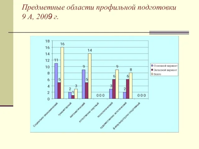 Предметные области профильной подготовки 9 А, 2009 г.