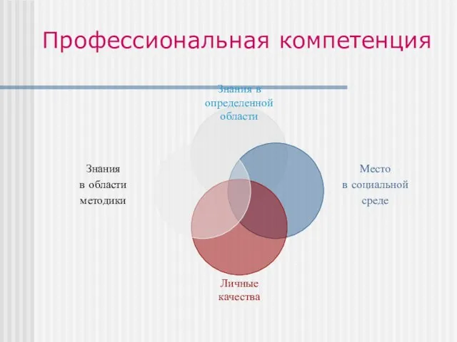 Профессиональная компетенция