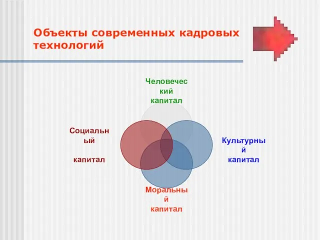 Объекты современных кадровых технологий