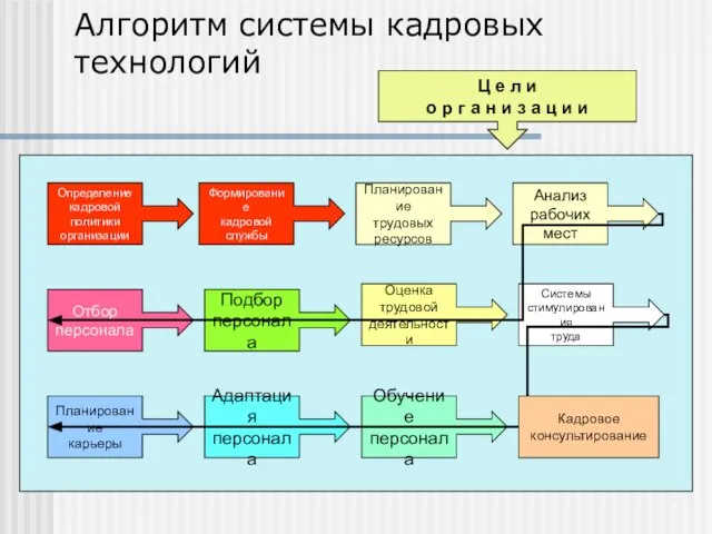 Алгоритм системы кадровых технологий Определение кадровой политики организации Формирование кадровой службы Планирование