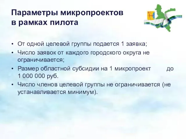 Параметры микропроектов в рамках пилота От одной целевой группы подается 1 заявка;