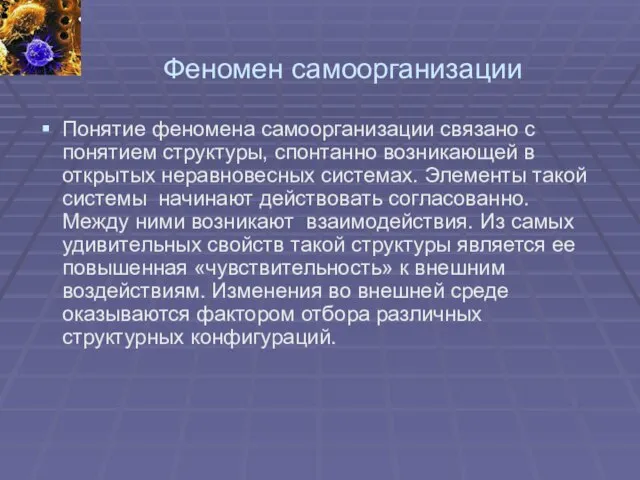 Феномен самоорганизации Понятие феномена самоорганизации связано с понятием структуры, спонтанно возникающей в