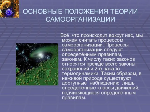 ОСНОВНЫЕ ПОЛОЖЕНИЯ ТЕОРИИ САМООРГАНИЗАЦИИ Всё что происходит вокруг нас, мы можем считать