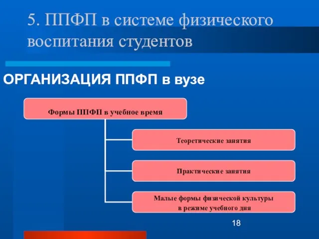 5. ППФП в системе физического воспитания студентов ОРГАНИЗАЦИЯ ППФП в вузе