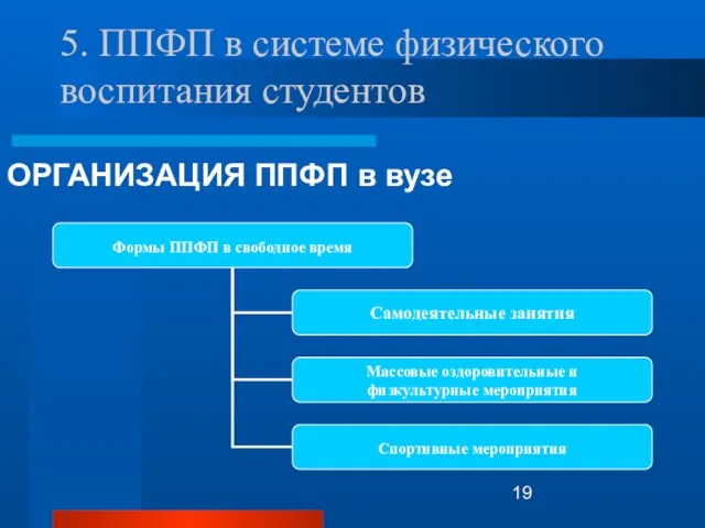 5. ППФП в системе физического воспитания студентов ОРГАНИЗАЦИЯ ППФП в вузе