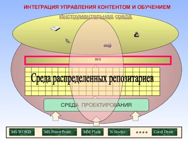 IMS ИНТЕГРАЦИЯ УПРАВЛЕНИЯ КОНТЕНТОМ И ОБУЧЕНИЕМ MS PowerPoint MS WORD MM Flash