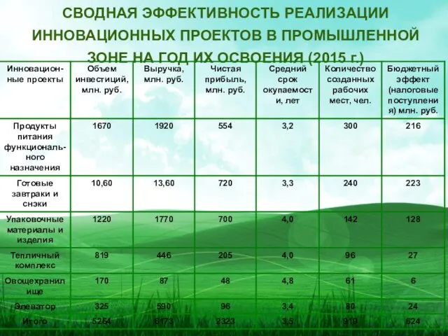 СВОДНАЯ ЭФФЕКТИВНОСТЬ РЕАЛИЗАЦИИ ИННОВАЦИОННЫХ ПРОЕКТОВ В ПРОМЫШЛЕННОЙ ЗОНЕ НА ГОД ИХ ОСВОЕНИЯ (2015 г.)