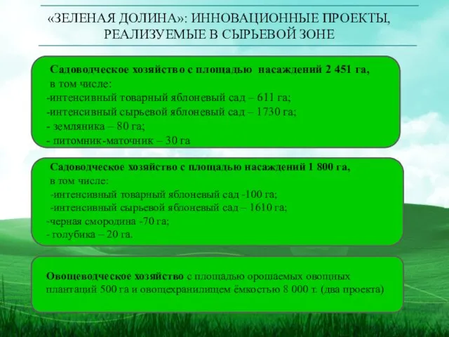 «ЗЕЛЕНАЯ ДОЛИНА»: ИННОВАЦИОННЫЕ ПРОЕКТЫ, РЕАЛИЗУЕМЫЕ В СЫРЬЕВОЙ ЗОНЕ Садоводческое хозяйство с площадью