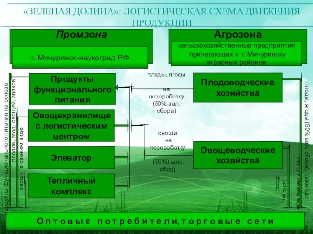 Промзона Агрозона Продукты функционального питания Овощехранилище с логистическим центром Элеватор Тепличный комплекс