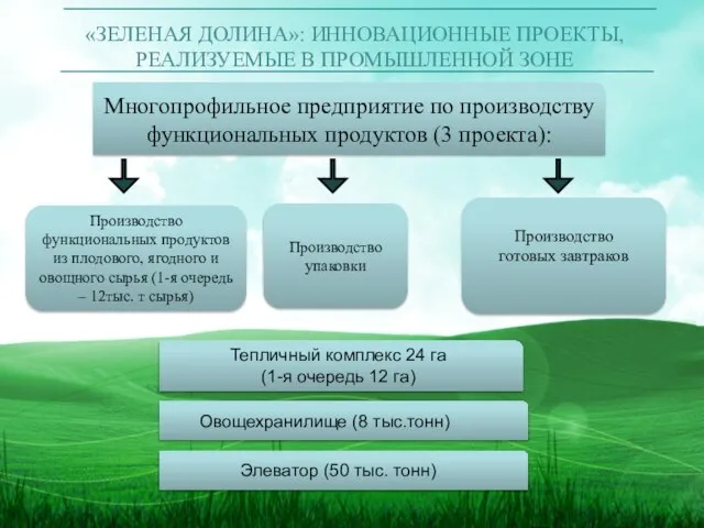 «ЗЕЛЕНАЯ ДОЛИНА»: ИННОВАЦИОННЫЕ ПРОЕКТЫ, РЕАЛИЗУЕМЫЕ В ПРОМЫШЛЕННОЙ ЗОНЕ Многопрофильное предприятие по производству