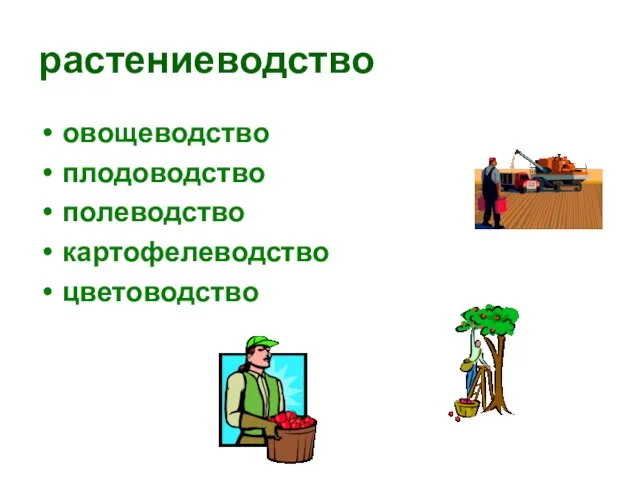 растениеводство овощеводство плодоводство полеводство картофелеводство цветоводство