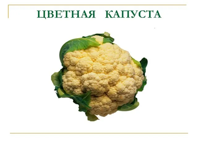 ЦВЕТНАЯ КАПУСТА