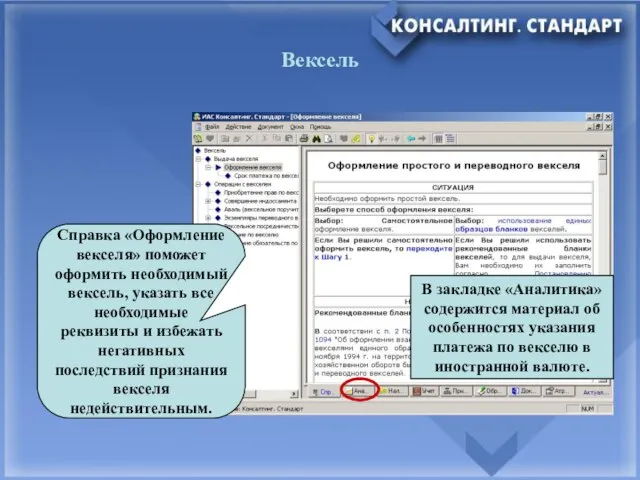 Вексель Справка «Оформление векселя» поможет оформить необходимый вексель, указать все необходимые реквизиты